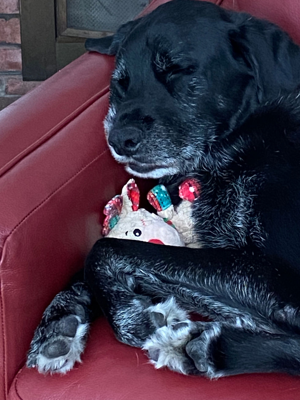 A Daily Devotion for Wednesday, April 22