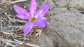 A Daily Devotion for Thursday, April 9