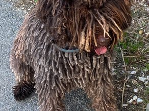 A Daily Devotion for Tuesday, December 16