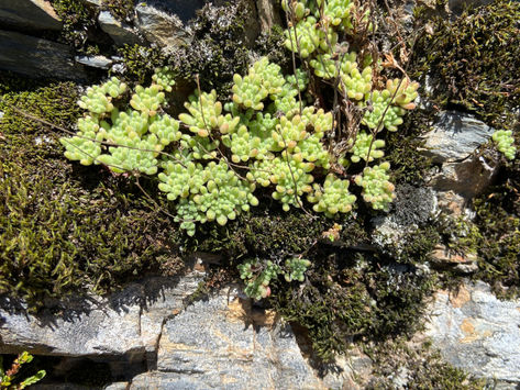 A Daily Devotion for Tuesday, February 10