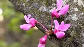 A Daily Devotion for Monday, April 6