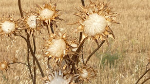 A Daily Devotion for Thursday, March 26