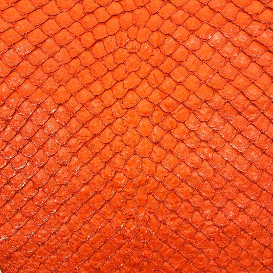 Picture of pirarucu leather article color Red Orange Shiny Finishing