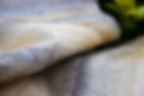 picture of salmon leather