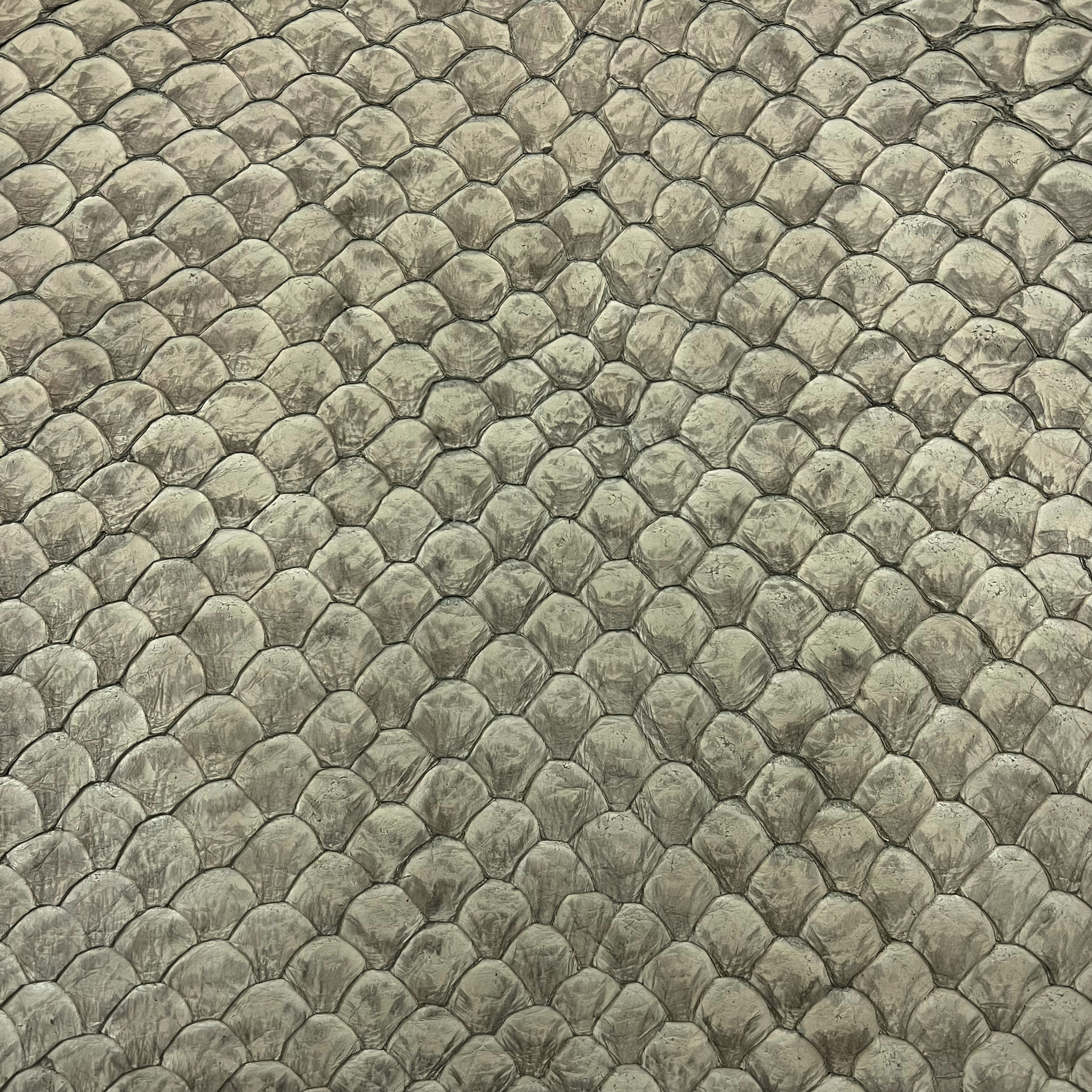 Picture of pirarucu leather article color Gargoyle finishing Matte