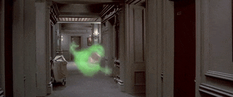 Bill Murray GIF from Ghostbusters 80s supernatural comedy movie