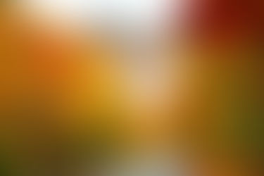 Top 10 Destinations in the US for Spectacular Fall Foliage