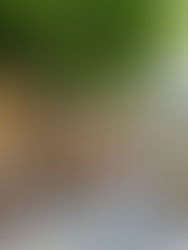 Maximize Your Adventure with These Tips for Shoulder Season Travel