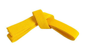 yellow-belt.jpg
