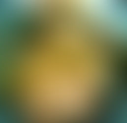 Grilled Hake In Foil Packets with Fresh Herbs and Garlic