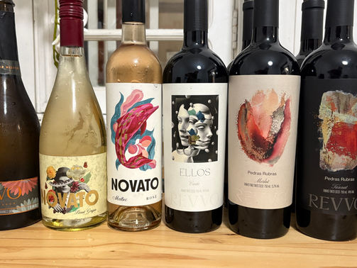 Degustação Vinícola Revvo