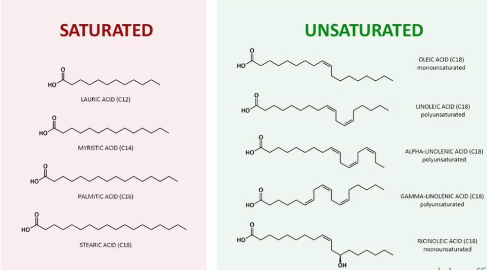 Fatty Acids for Beginners Why Every Soap Maker Needs to Learn Them FIRST