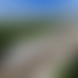 不審勢即寬嚴皆誤:《五十年後節錄》