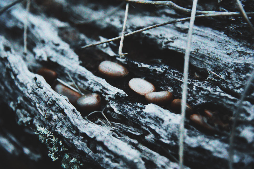 _SPF7697_VSCO