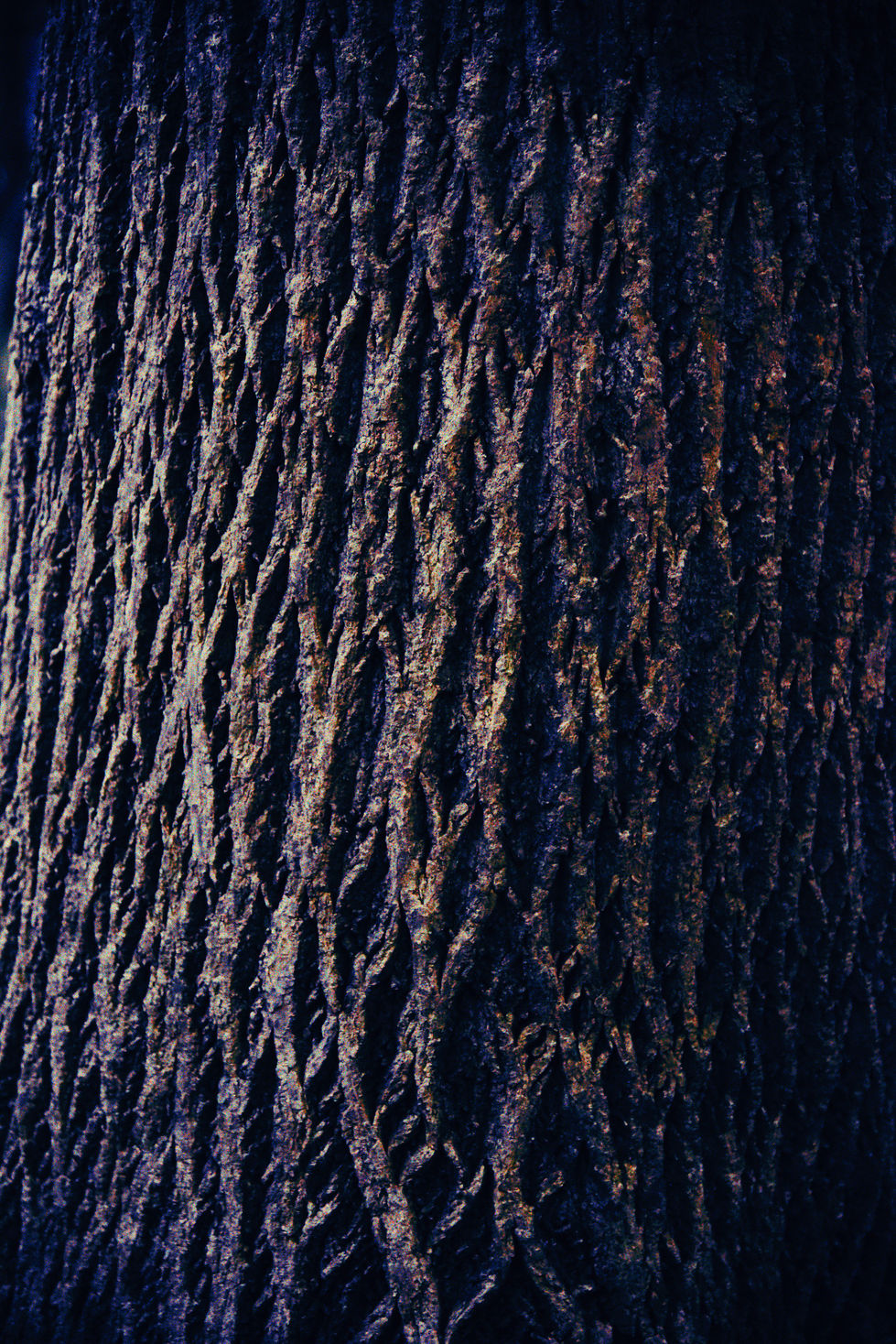 _SPF7761_VSCO