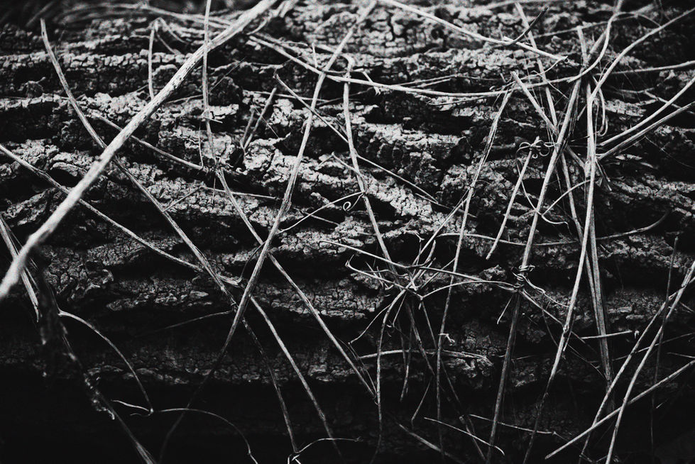_SPF7692_VSCO