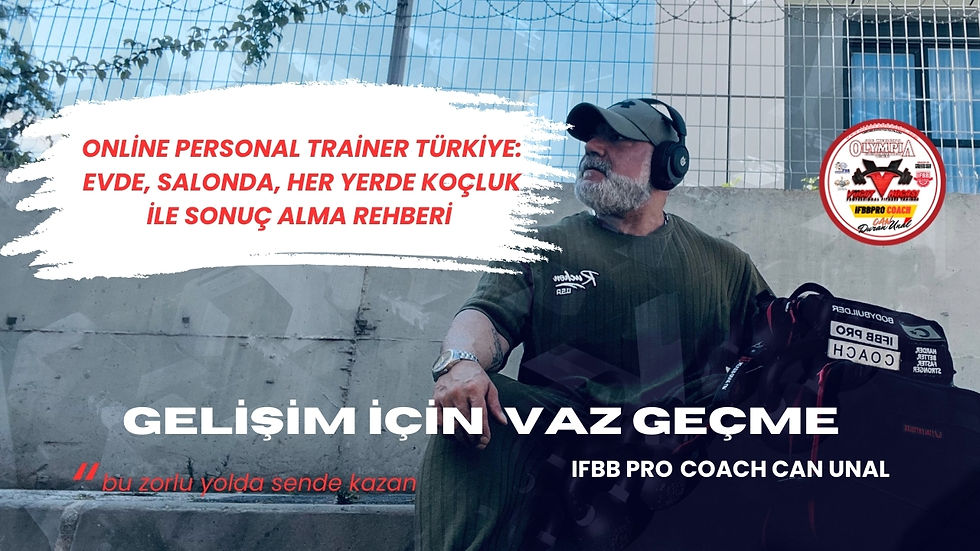 online eğitim rehberi