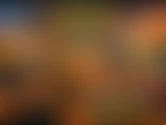 Online Vücut Geliştirme Programı Satın Almak İçin En İyi Site Hangisi?