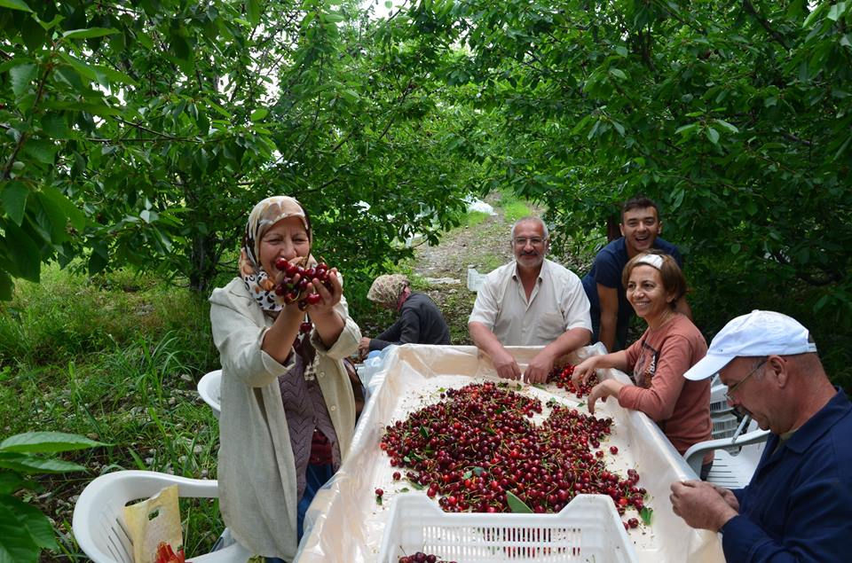 Albüm Fotoğrafları