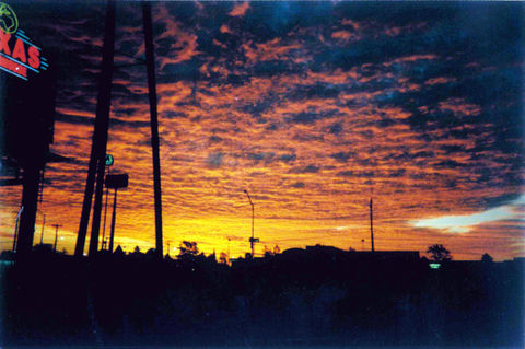 doc01855120221104081304 copy.jpg