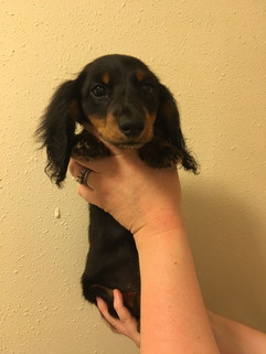 26-6-18-5030.jpg