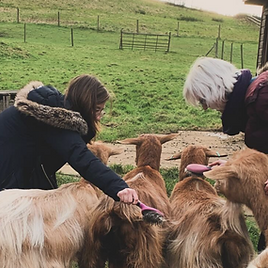 Screenshot 2024-02-19 at 15.04.25.png