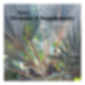 PostPlus1652285176118.png