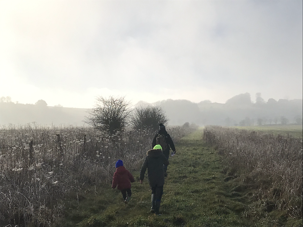 Father and sons walking in a wintery landscape