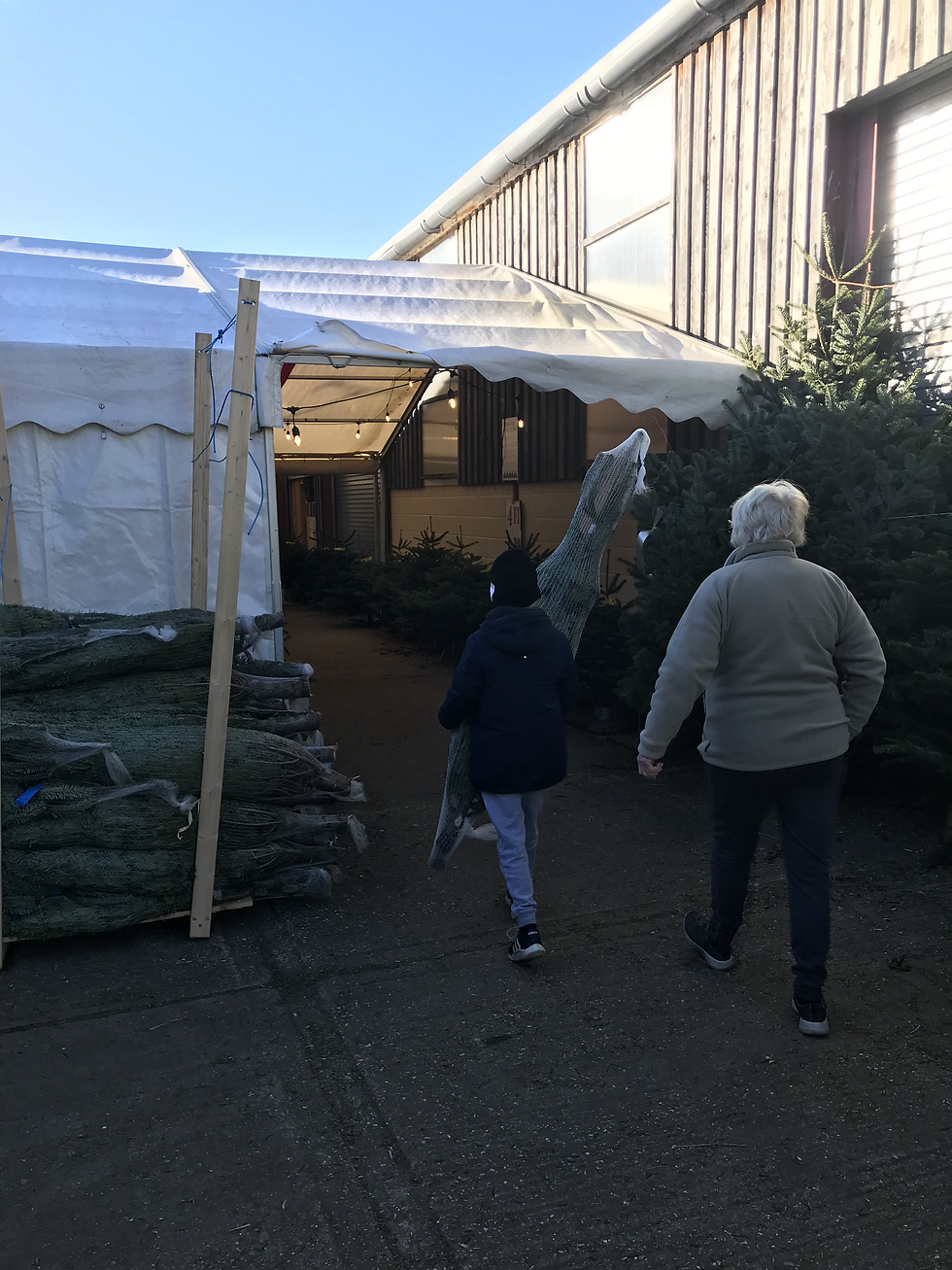 Burcot Farm Christmas Trees