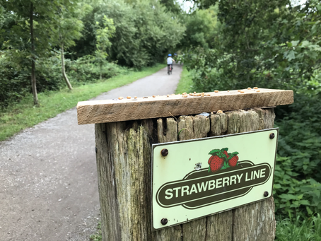 Family cycling day riding the Strawberry Line from Yatton to Cheddar, Somerset