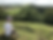 Boy sat at the top of Cadbury Castle overlooking the veiws
