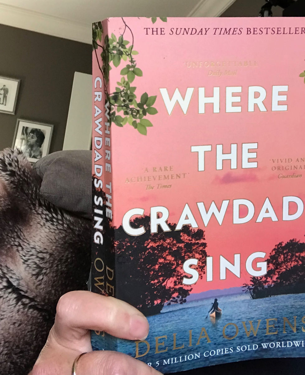 Where the Crawdads sing book cover
