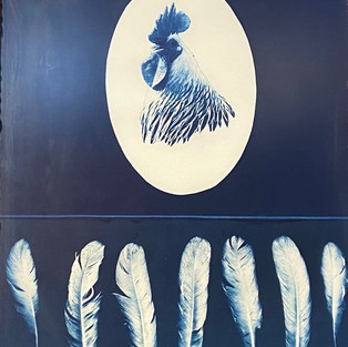 Helen THE Rooster
