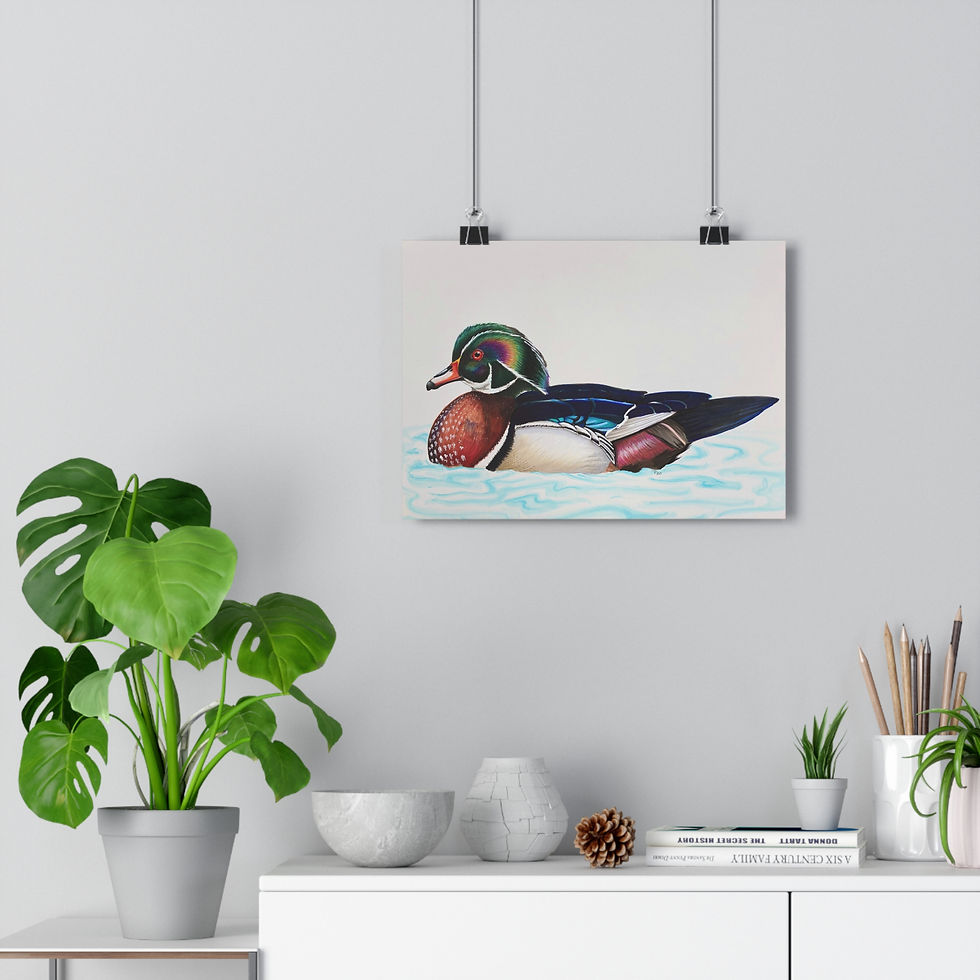 Thumbnail: Wood Duck Giclée Art Print — Colorful Waterfowl Wall Art