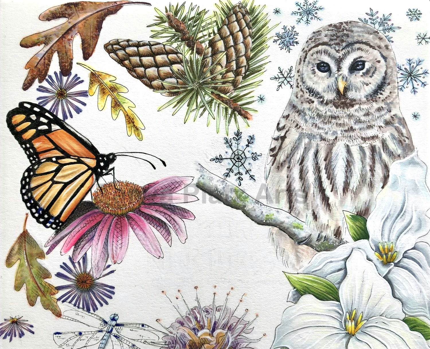 Minnesota’s Four Seasons