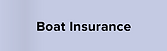 Kaus Card Sorting - Boat Insurance