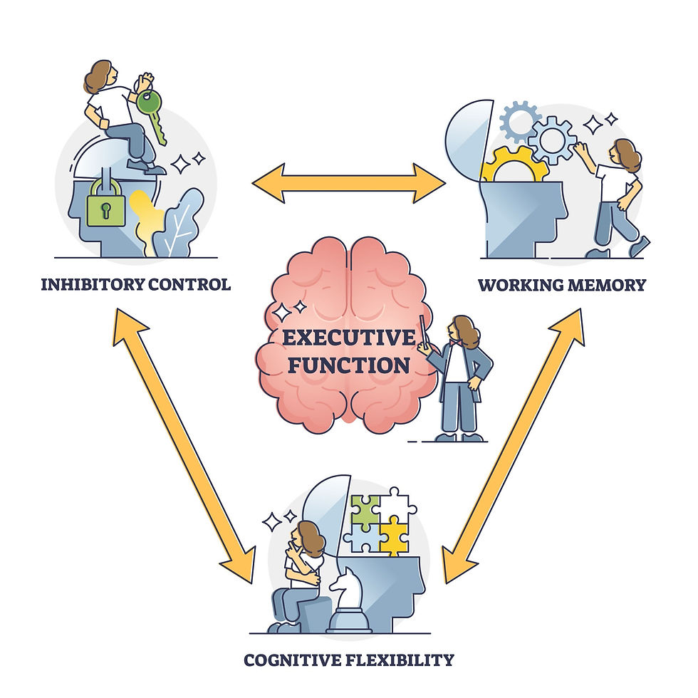 Diagram with three illustrations: Inhibitory Control, Working Memory, and Cognitive Flexibility, connected by arrows. Central brain labeled Executive Function.
Source: Getty Images