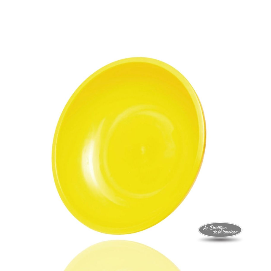 Palangana Florida x 9L