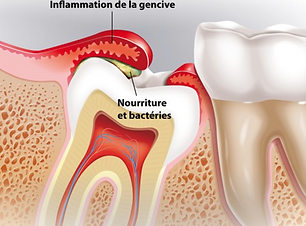 Capture d’écran 2022-09-17 à 17.19.32.png