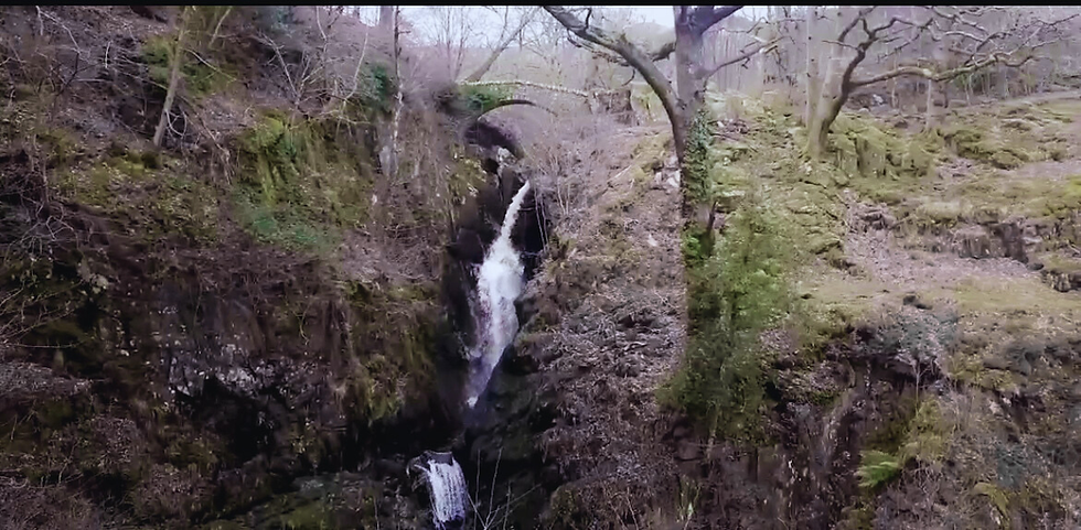 Aira Force waterfall falling between moss-covered rocks, with trees and a stone bridge above.