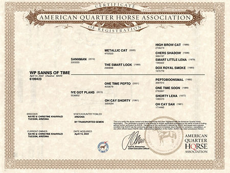 sanns pedigree.jpg