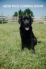 _DSC2276_edited.jpg