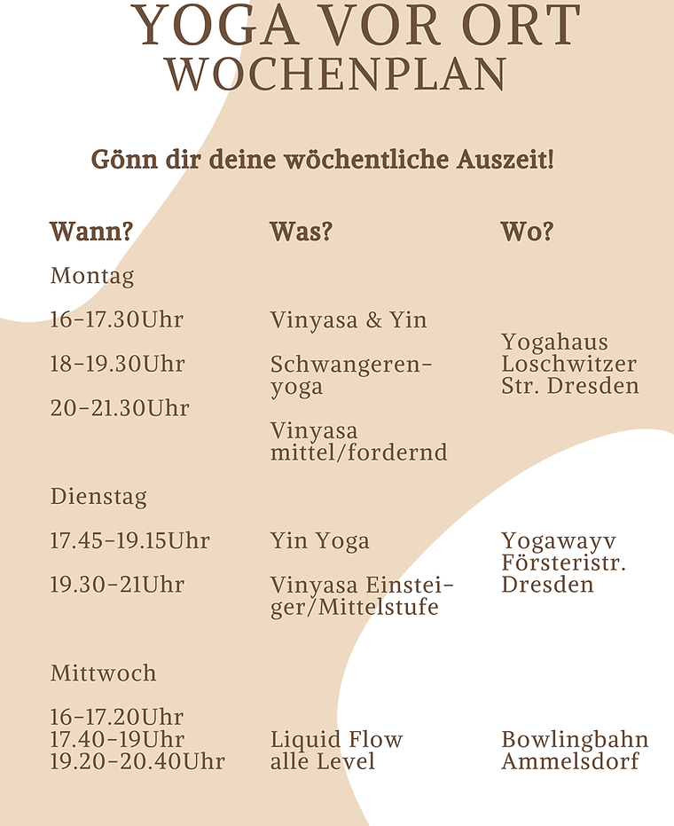 Online Yoga Class Promotional Flyer Template (12).png
