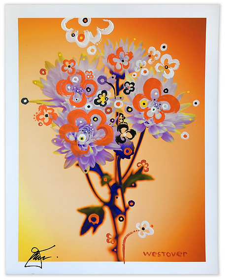 westover sklan-8-web.jpg