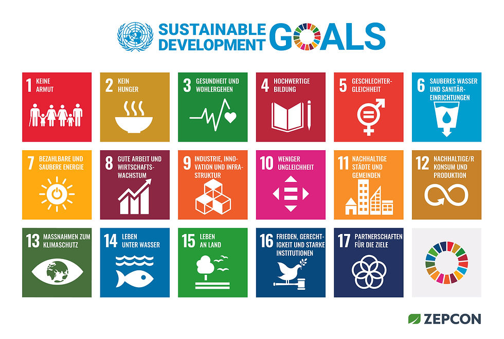 D_SDG_poster_UN_emblem_PRINT 2020_ZEPCON.jpg