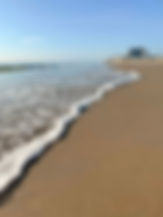 24dd6218-477a-45a1-82b5-1dee4f2a75ec.jpeg