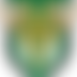 DOCENTES DE TERAPIA OCUPACIONAL-IFRJ CAMPUS REALENGO