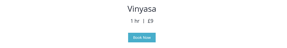 Vinyasa Title Image.png