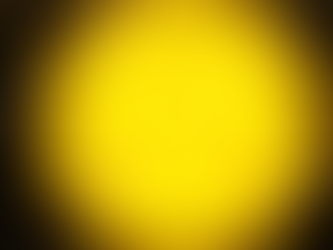 The Fifth Law of the Universe