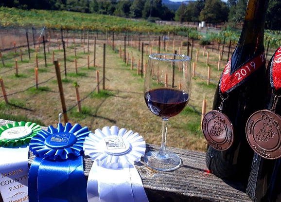 Lavineyard Farms | Lavender Fields | California Winery | Vineyard